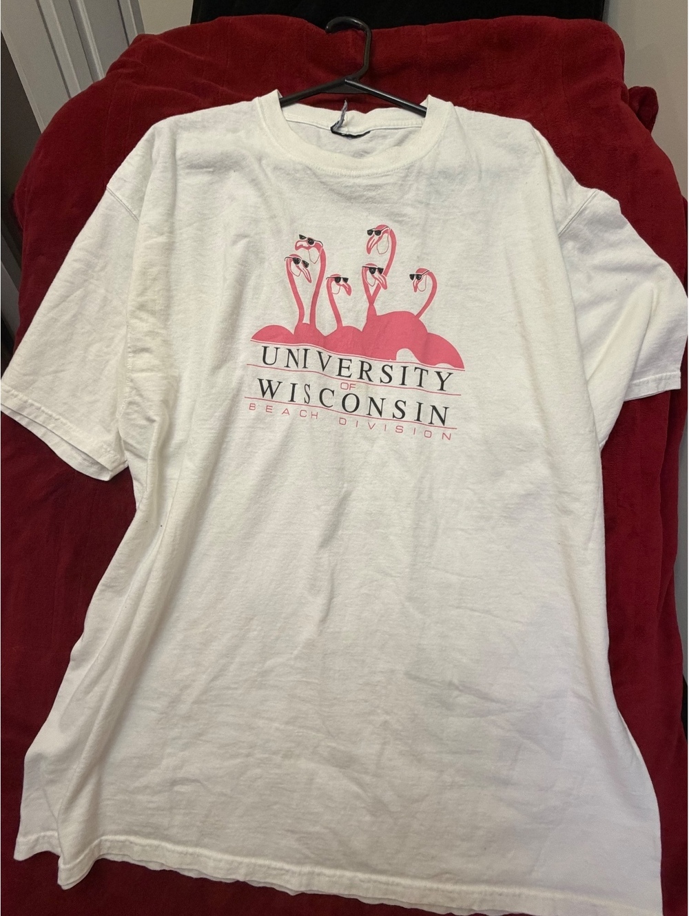 University of Wisconsin Beach Division Flamingo Graphic T-Shirt